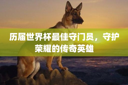 历届世界杯最佳守门员，守护荣耀的传奇英雄