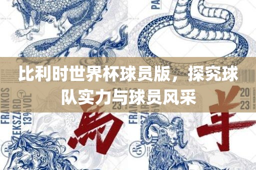 比利时世界杯球员版，探究球队实力与球员风采