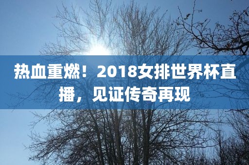 热血重燃！2018女排世界杯直播，见证传奇再现