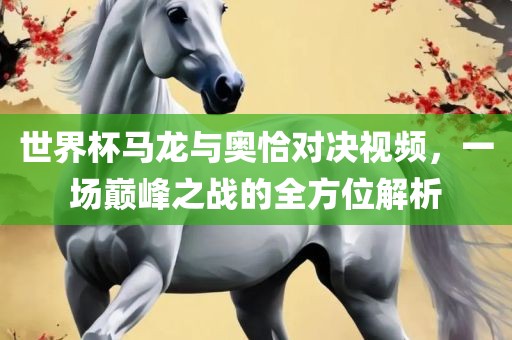 世界杯马龙与奥恰对决视频，一场巅峰之战的全方位解析