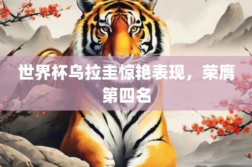 世界杯乌拉圭惊艳表现，荣膺第四名