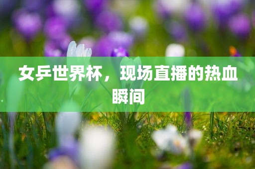 女乒世界杯，现场直播的热血瞬间