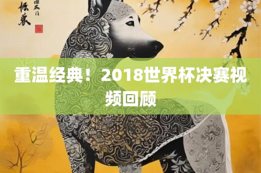 重温经典！2018世界杯决赛视频回顾