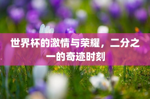 世界杯的激情与荣耀，二分之一的奇迹时刻