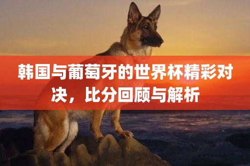 韩国与葡萄牙的世界杯精彩对决，比分回顾与解析