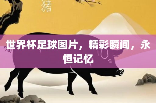 世界杯足球图片