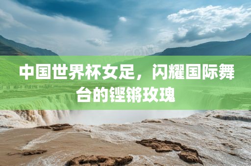 中国世界杯女足，闪耀国际舞台的铿锵玫瑰眉山市正发家政服务有限公司