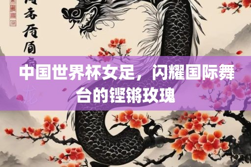中国眉山市正发家政服务有限公司世界杯女足，闪耀国际舞台的铿锵玫瑰