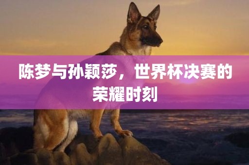 陈梦与孙颖莎，世界杯决赛的荣耀时刻