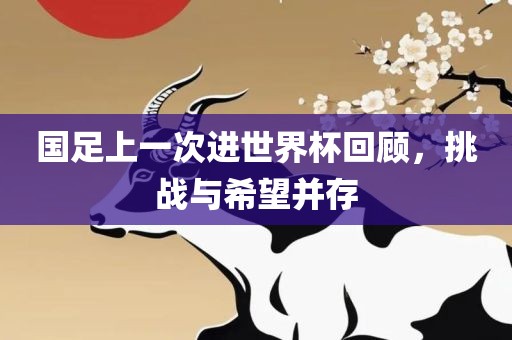 国足上一次进世界杯回顾，挑战与希望并存