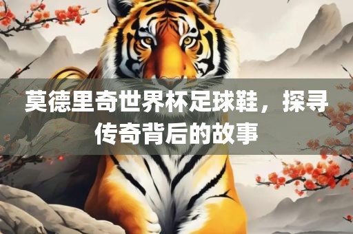 莫德里奇世界杯足球鞋，探寻传奇背后的故事