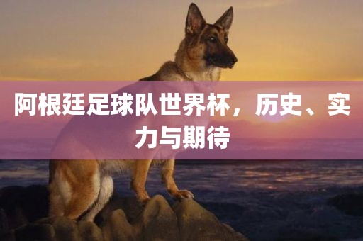 阿根廷足球队世界杯，历史、实力与期待眉山市正发家政服务有限公司