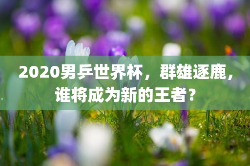 2020男乒世界杯，群雄逐鹿，谁将成为新的王者？