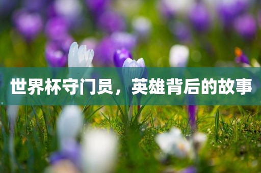 世界杯守门员，英雄背后的故事