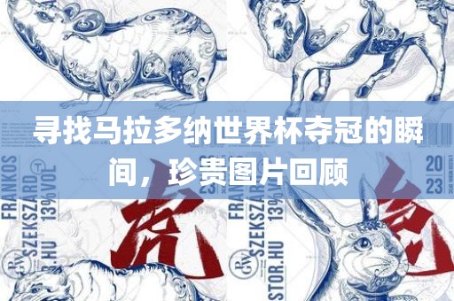 寻找马拉多纳世界杯夺冠的瞬间，珍贵图片回顾
