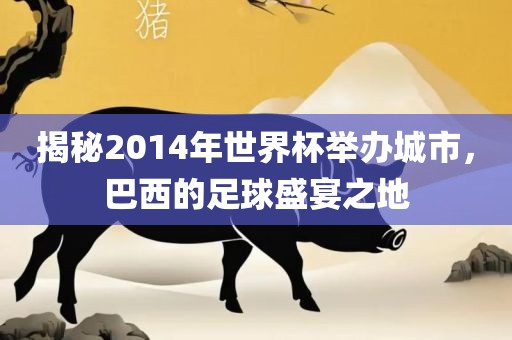 揭秘2014年世界杯举办城市，巴西的足球盛宴之地眉山市正发家政服务有限公司