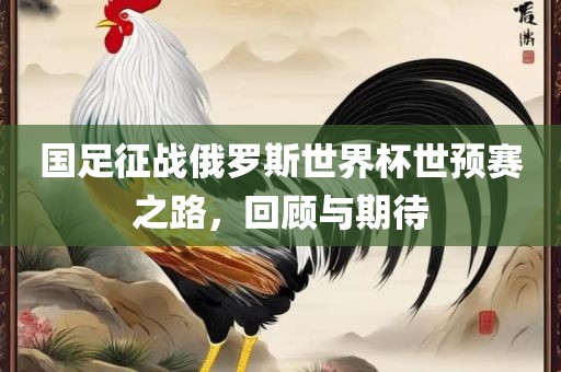 国足征战俄罗斯世界杯世预赛之路，回顾与期待