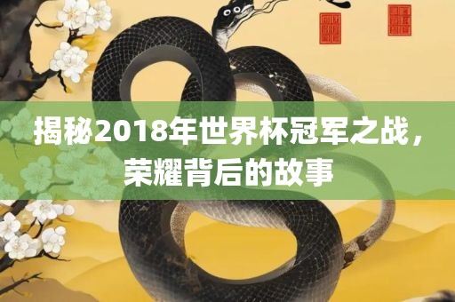 揭秘2018年世界杯冠军之战，荣耀背后的故事