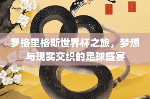 罗格里格斯世界杯之旅，梦想与现实交织的足球盛宴