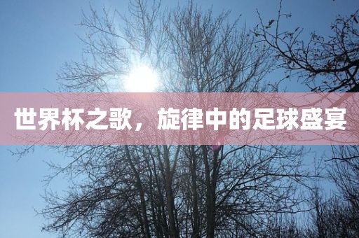 世界杯之歌，旋律中的足球盛宴