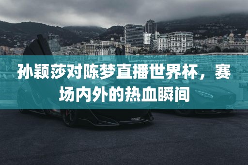 孙颖莎对陈梦直播世界杯，赛场内外的热血瞬间