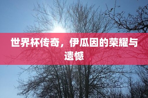 世界杯传奇，伊瓜因的荣耀与遗憾