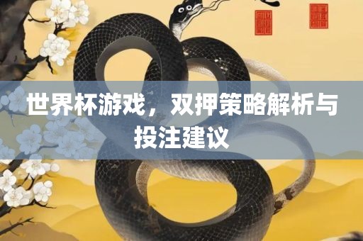 世界杯游戏，双押策略解析与投注建议