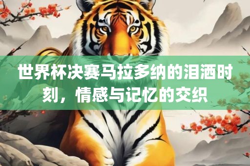 世界杯决赛马拉多纳的泪洒时刻，情感与记忆的交织