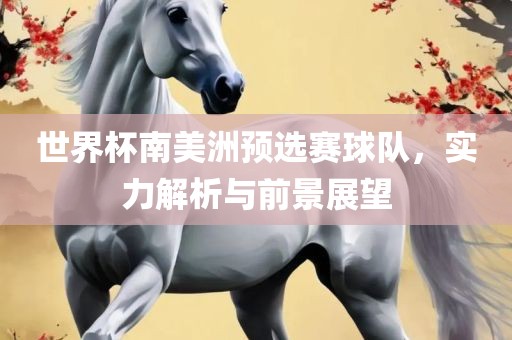 世界杯南美洲预选赛球队，实力解析与前景展望