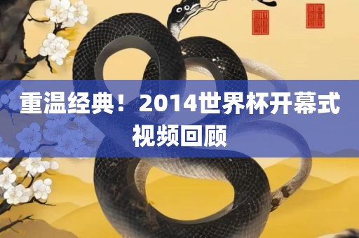 重温经典！2014世界杯开幕式视频回顾眉山市正发家政服务有限公司