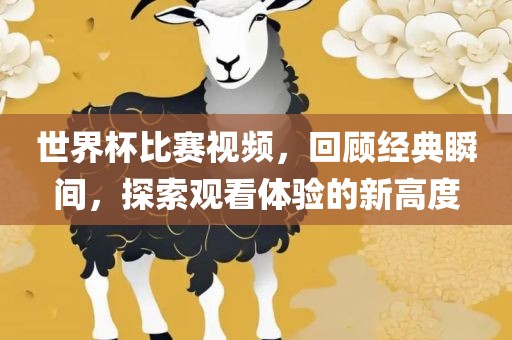 世界杯比赛视频，回顾经典瞬间，探索观看体验的新高度眉山市正发家政服务有限公司
