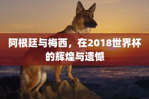 阿根廷与梅西，在2018世界杯的辉煌与遗憾