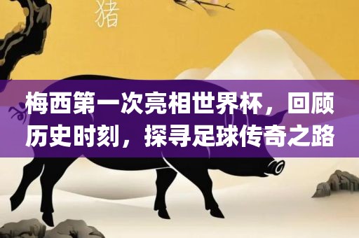 梅西第一次亮相世界杯，回顾历史时刻，探寻足球传奇之路