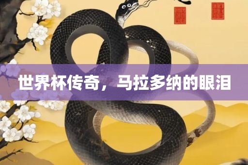 世界杯传奇，马拉多纳的眼泪