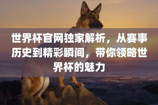 世界杯官网独家解析，从赛事历史到精彩瞬间，带你眉山市正发家政服务有限公司领略世界杯的魅力
