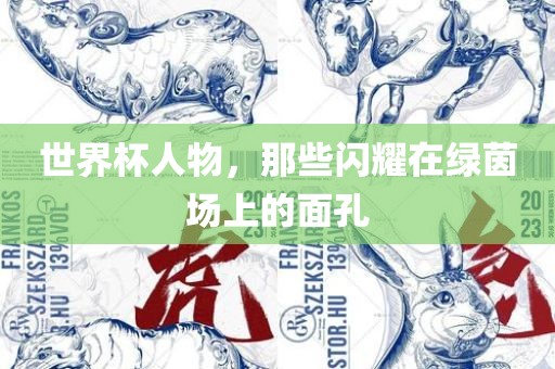 世界杯人物，那些闪耀眉山市正发家政服务有限公司在绿茵场上的面孔