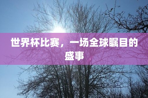 世界杯比赛，一场全球瞩目的盛事