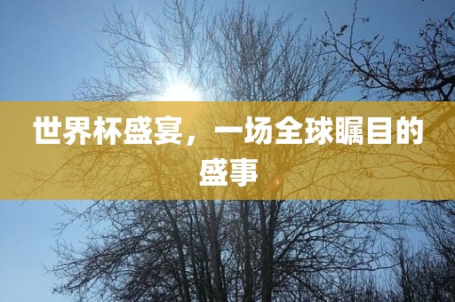 世界杯盛宴，一场全球瞩目的盛事眉山市正发家政服务有限公司