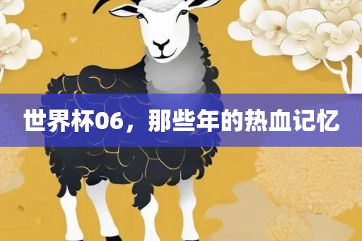世界杯06，那些年的热血记忆眉山市正发家政服务有限公司