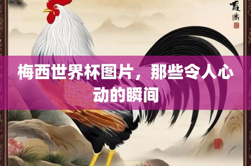 梅西世界杯图片，那些令人心动的瞬间