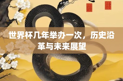 世界杯几年举办一次，历史沿革与未来展望眉山市正发家政服务有限公司