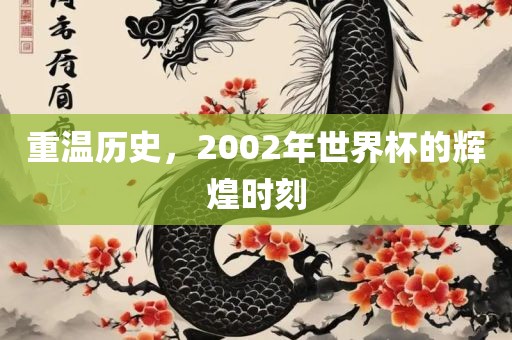 重温历史，2002年世界杯的辉煌时刻