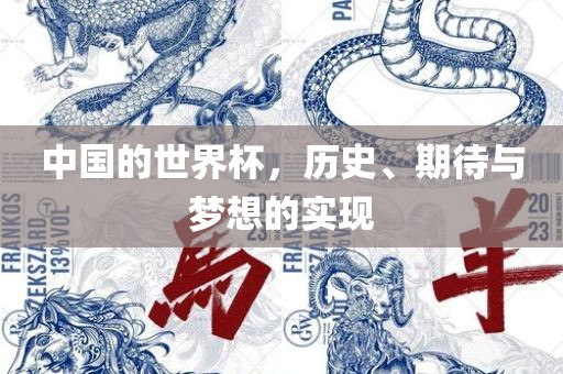 中国的世界杯，历史、期待与梦想的实现眉山市正发家政服务有限公司