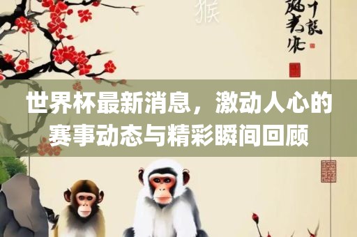 世界杯最新消息，激动人心的赛事动态与精彩瞬间回顾眉山市正发家政服务有限公司