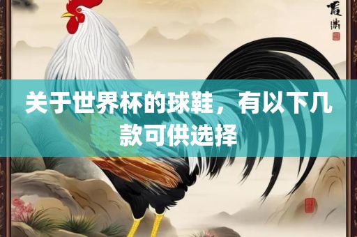 关于世界杯的球鞋，有以下几款可供选择眉山市正发家政服务有限公司