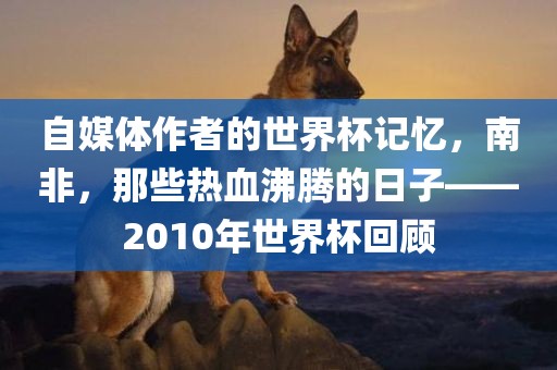 自媒体作者的世界杯记忆，南非，那些热血沸腾的日子——2010年世界杯回顾