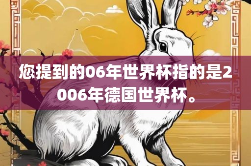 您提到的06年世界杯指的是2006年德国世界杯。