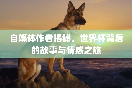 xinyu 第2页