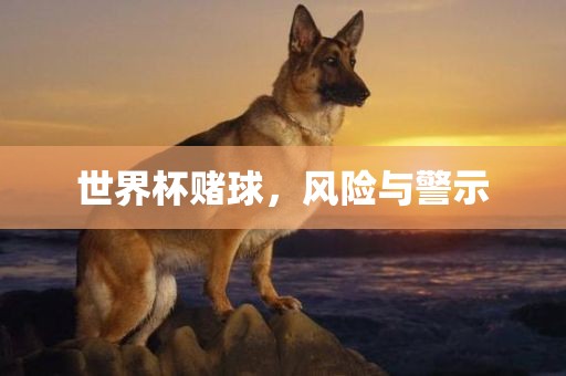 世界杯赌球，风险与警示