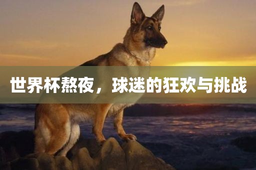世界杯熬夜，球迷的狂欢与挑战